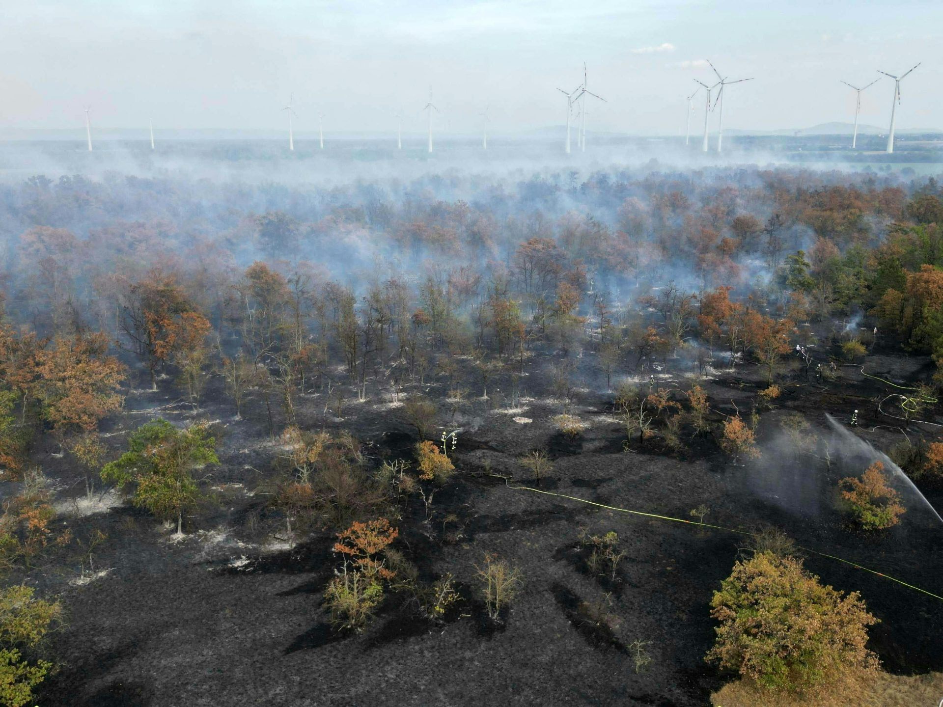 Die Flammen breiteten sich in Richtung einer Siedlung aus. Die Flammen breiteten sich in Richtung einer Siedlung aus.