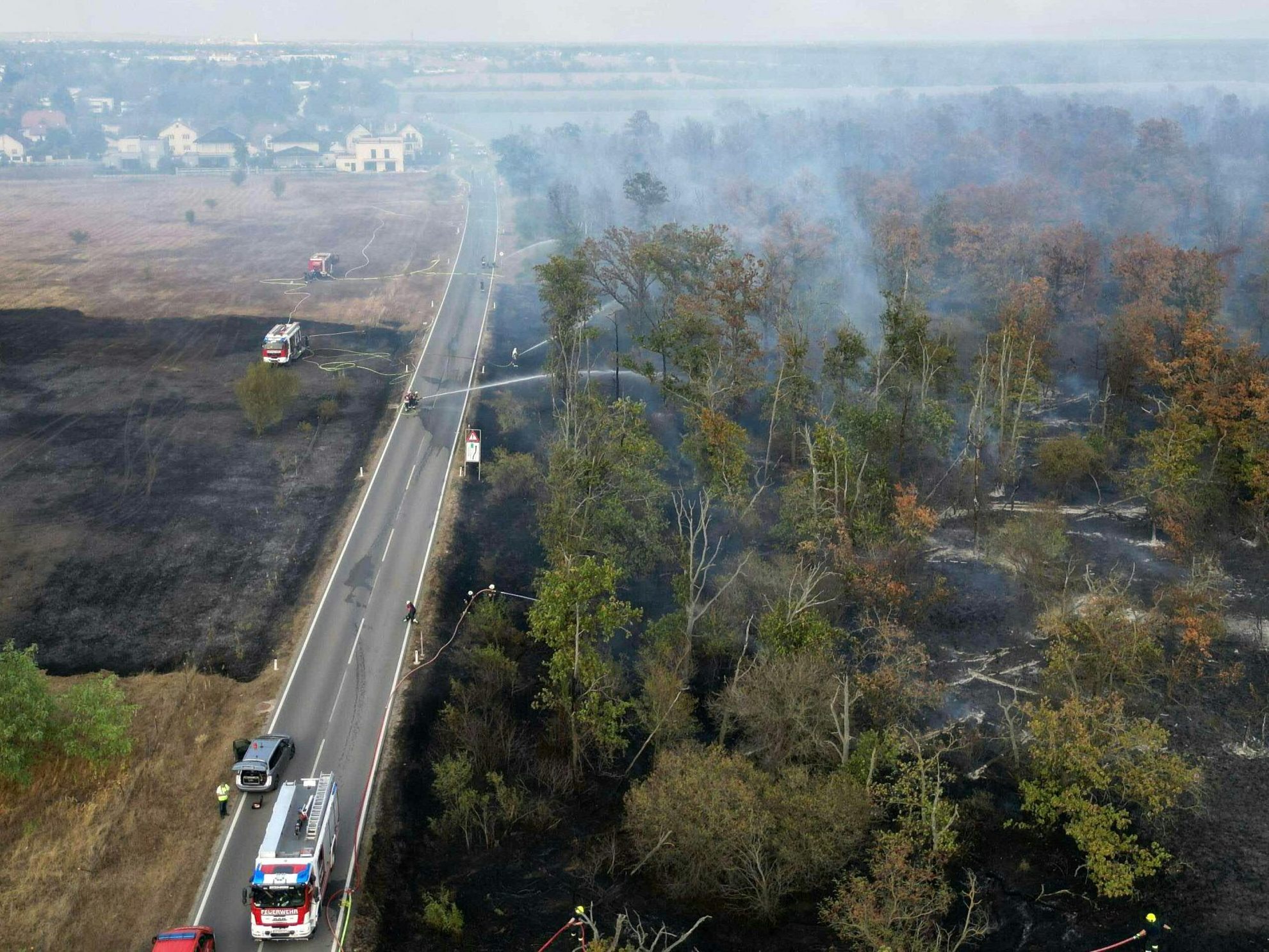 Beim Waldbrand im Raum Gänserndorf sind die Löscharbeiten weiter im Gange.