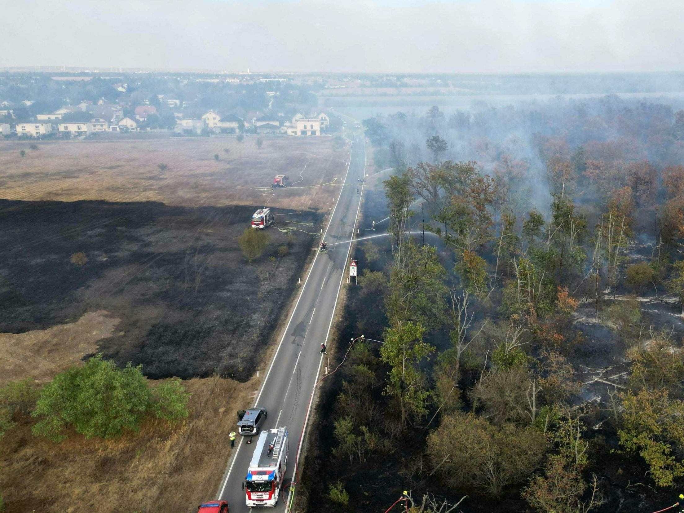 Eine Fläche von rund 100 Hektar stand in Flammen. Eine Fläche von rund 100 Hektar stand in Flammen.