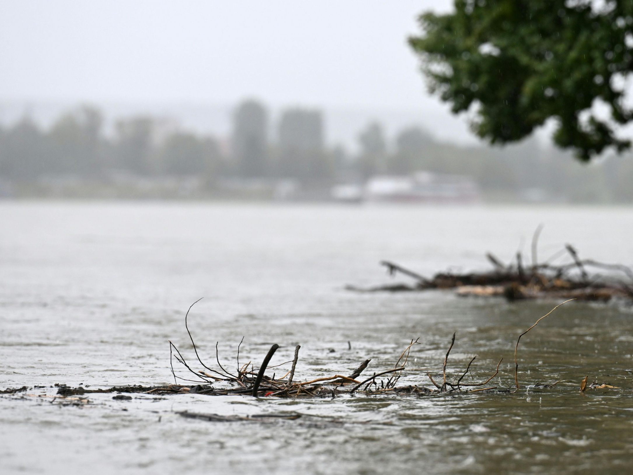 Die Donau bei Krems am vergangenen Samstag.