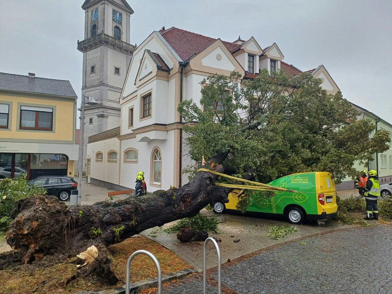 In Purbach stürzte ein Baum auf ein Postauto.