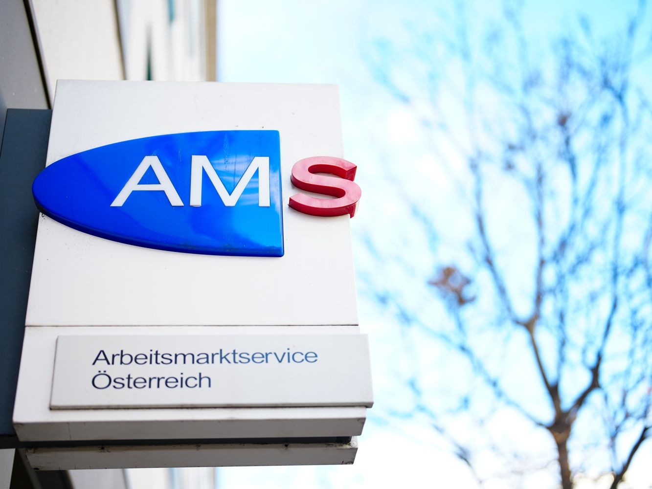 "Jugendstiftung Wien" geht 2025 los. In Zusammenarbeit mit dem AMS und waff soll 1.000 jungen Erwachsenen eine Ausbildung ermöglicht werden. "Jugendstiftung Wien" geht 2025 los. In Zusammenarbeit mit dem AMS und waff soll 1.000 jungen Erwachsenen eine Ausbildung ermöglicht werden.