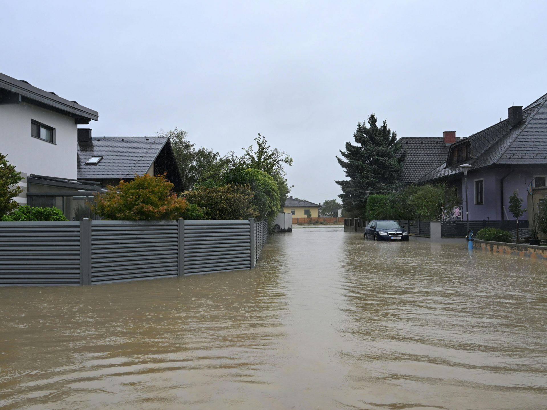 Im Bild: Die Hochwasser-Situation in Rust im Tullnerfeld. Im Bild: Die Hochwasser-Situation in Rust im Tullnerfeld.