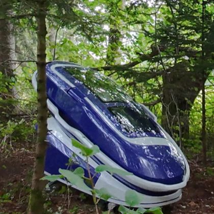 Das Foto zeigt die "Suizidkapsel" in einem Schweizer Waldstück, wo sich eine 64-Jährige Amerikanerin das Leben nahm.