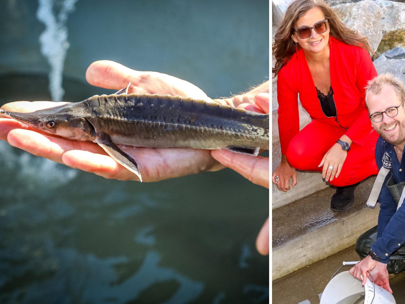 Die Stadt Wien baut eine Anlegestelle für die schwimmende Aufzuchtstation. Die Stadt Wien baut eine Anlegestelle für die schwimmende Aufzuchtstation.