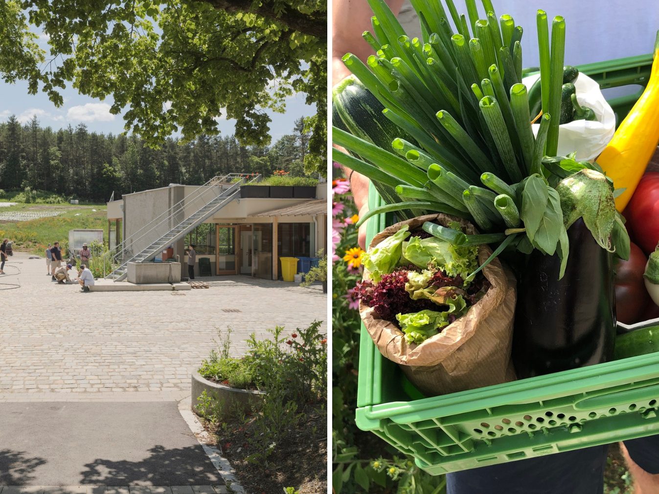 Benefiz-Wanderung zu Gunsten der VinziRast am 05. Oktober 2024.