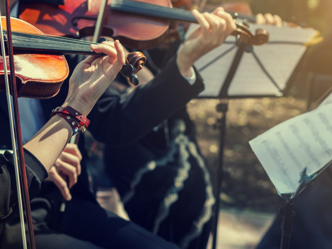 Das Wienerwald Festival lädt wieder dazu ein, die Harmonie von Musik und Natur zu genießen.