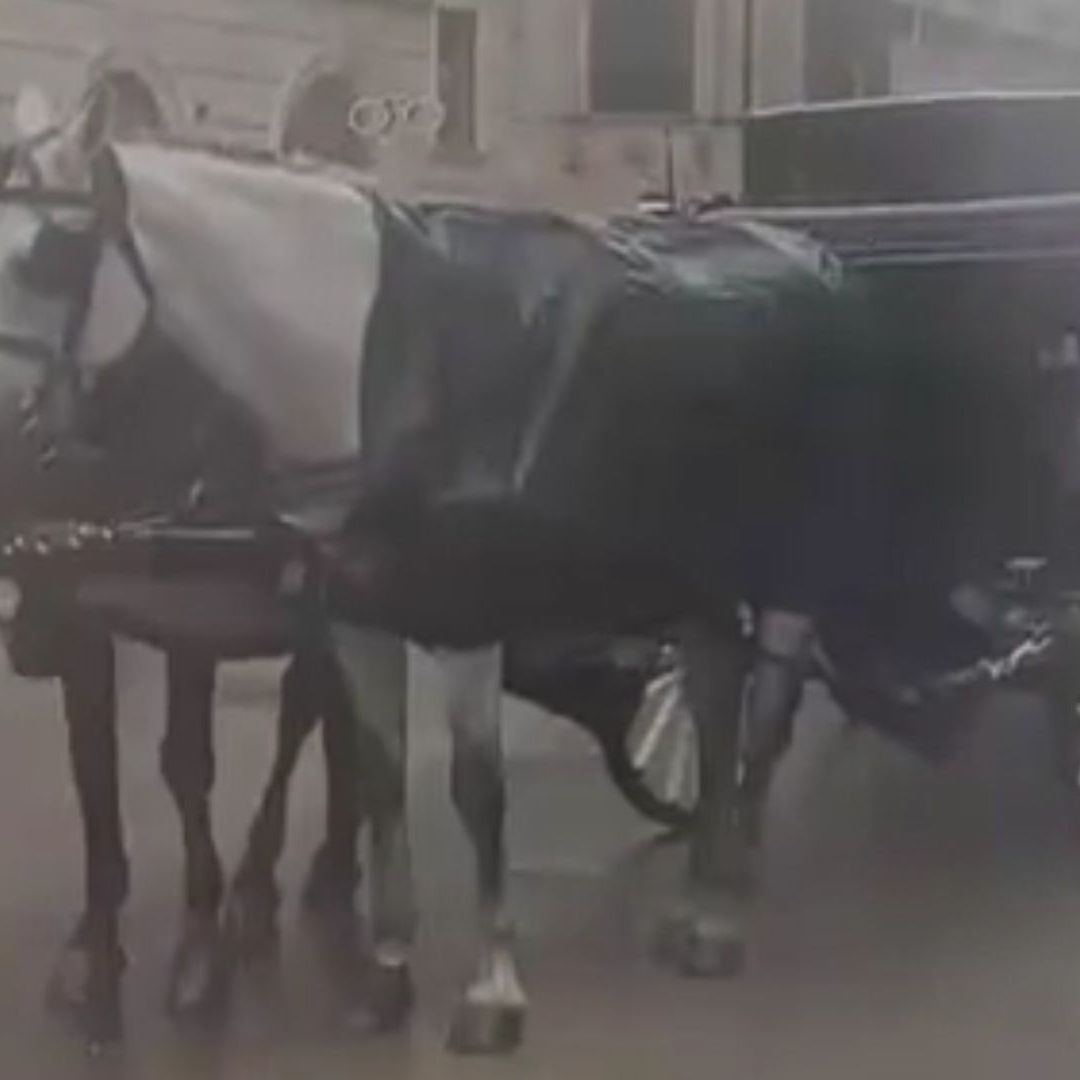 Bei strömendem Regen mussten die Pferde in der Innenstadt ausharren.