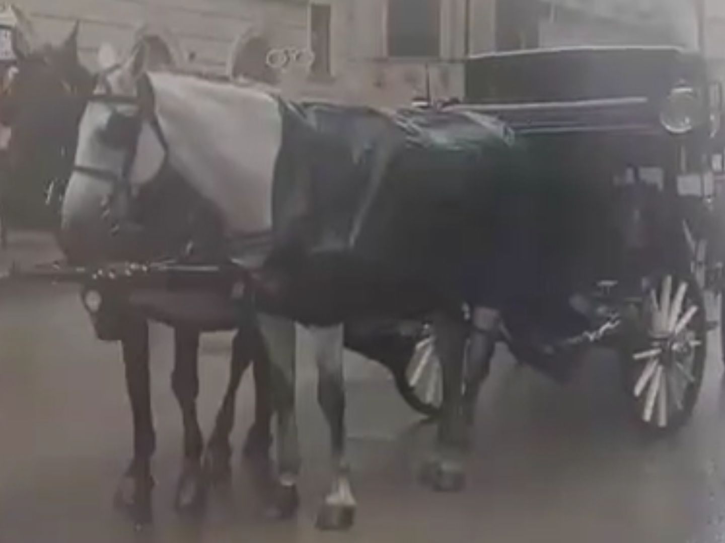 Bei strömendem Regen mussten die Pferde in der Innenstadt ausharren.
