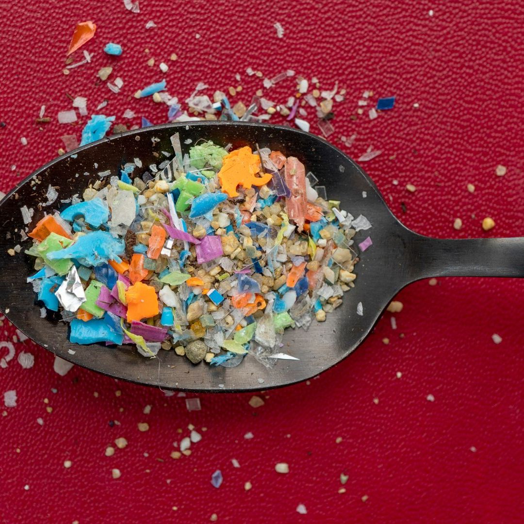 Der Verarbeitungsgrad der Lebensmittel spielt bei der Aufnahme von Mikroplastik eine relevante Rolle.