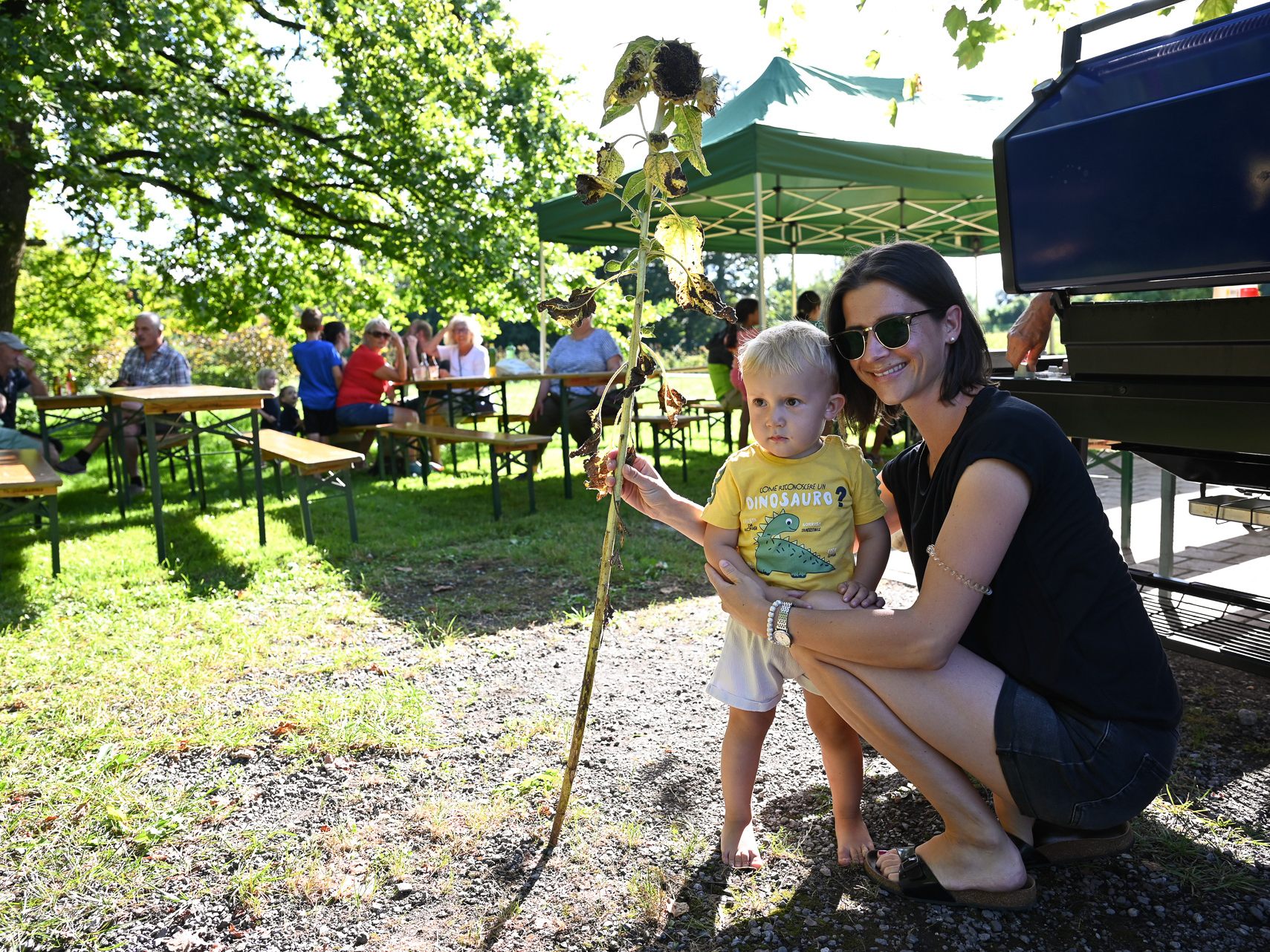 Am Wochenende wurde wieder die größte Sonnenblume ermittelt. Auch Paul (2) kam mit seiner Mama und seiner eigenen Sonnenblume zur Preisverleihung.