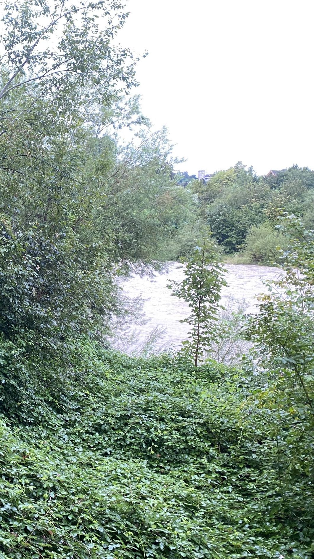 In der Nähe einer Schrebergartenanlage an der Bregenzer Ache wurde am 08.09.2024 eine Leiche entdeckt.