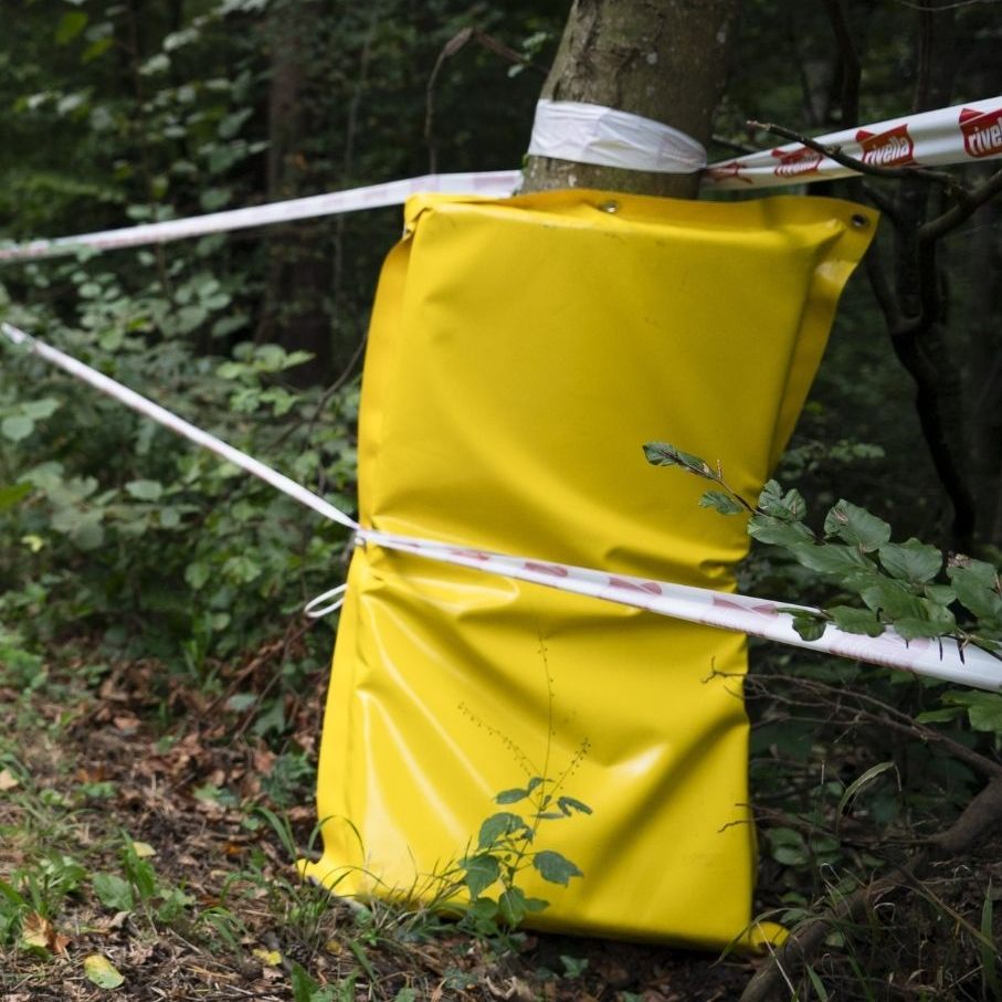 Das Bild zeigt die angebliche Unfallstelle.