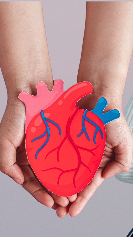 Anlässlich des Welt-Herz-Tags 2024 rücken Experten das Thema Herzinsuffizienz ins Rampenlicht.