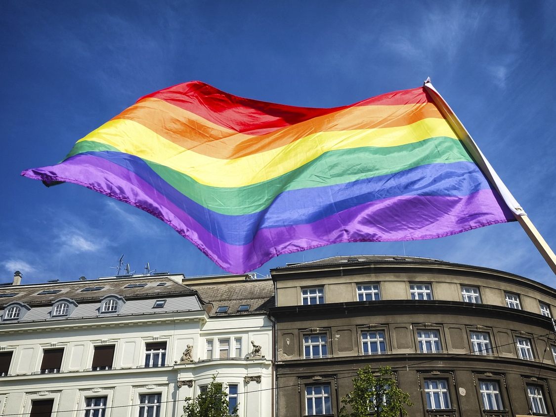 FPÖ-Politiker Gruber wirft in einem Video eine Regenbogenfahne weg. FPÖ-Politiker Gruber wirft in einem Video eine Regenbogenfahne weg.