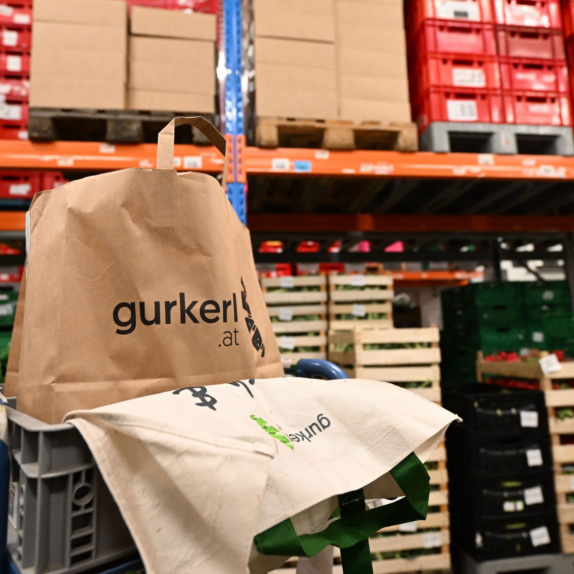 Der Lebensmittellieferdienst "Gurkerl" will wieder voll durchstarten.