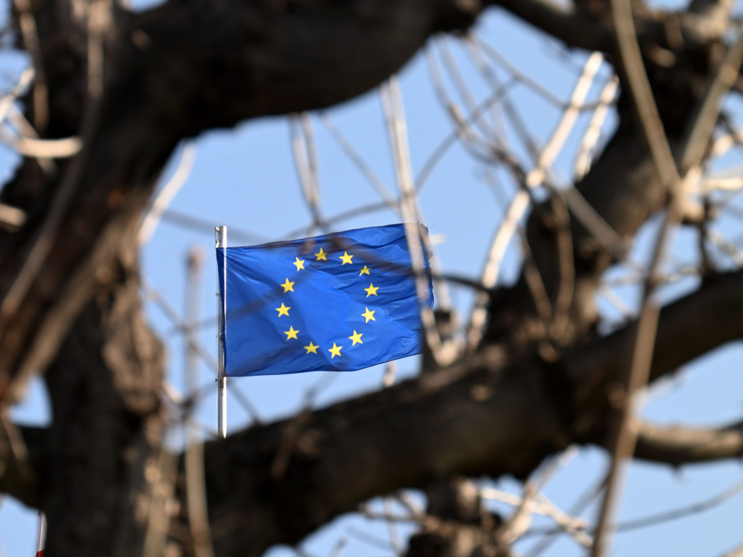 Eine EU-Rückführungsrichtlinie soll einheitliche Standards und Verfahren garantieren.