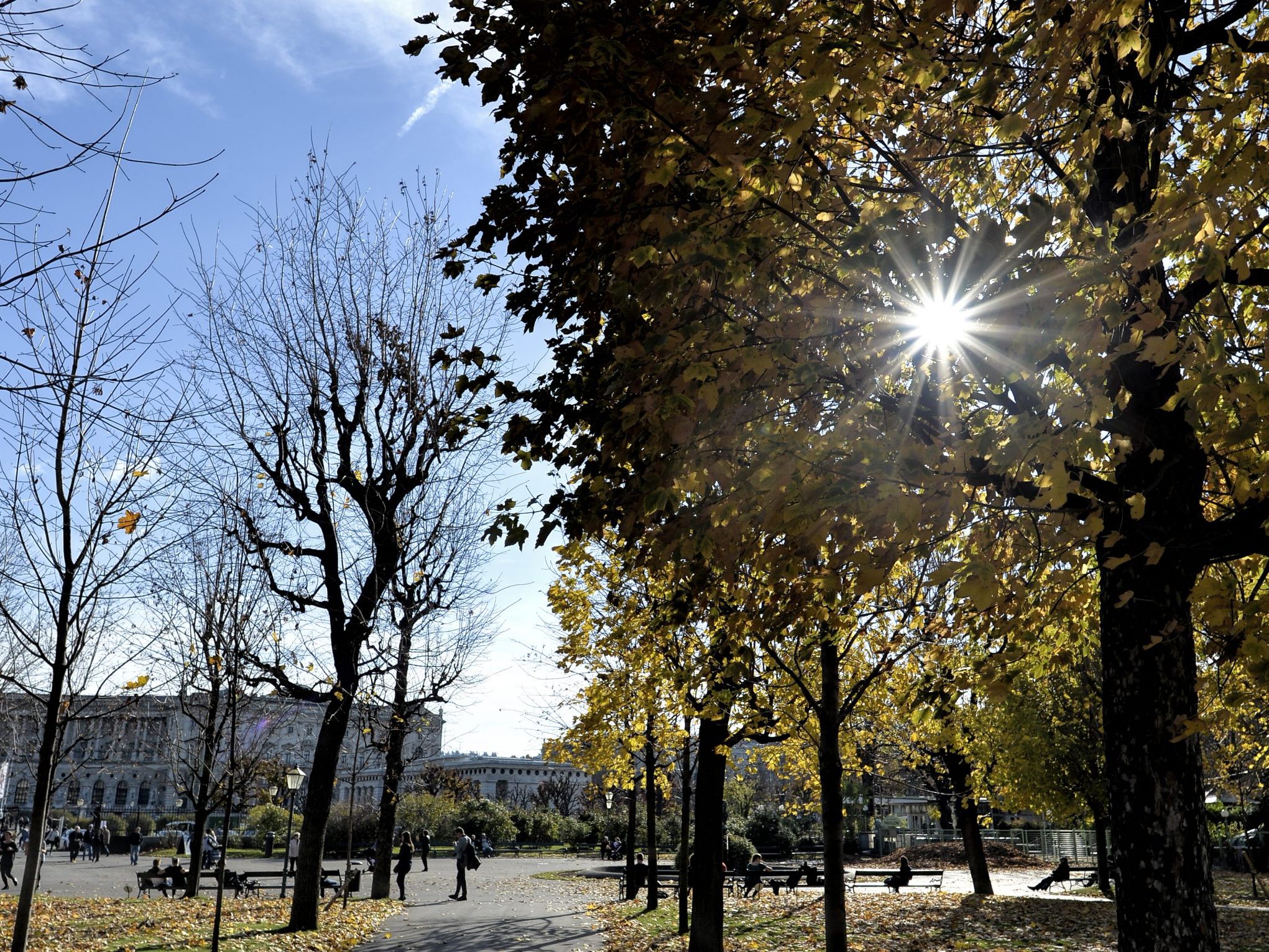 Das Wetter in der kommenden Woche wird warm und föhnig.