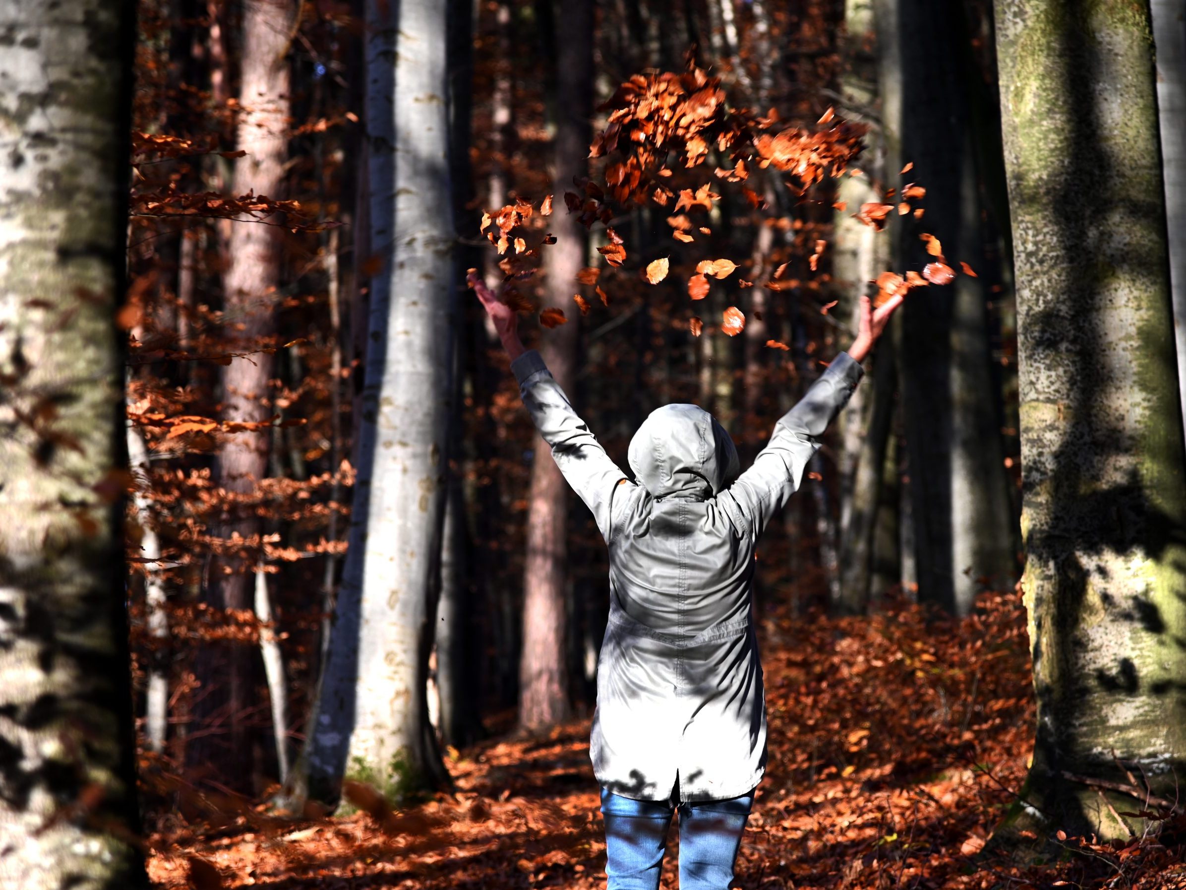 Föhn lässt die Temperaturen noch einmal steigen.