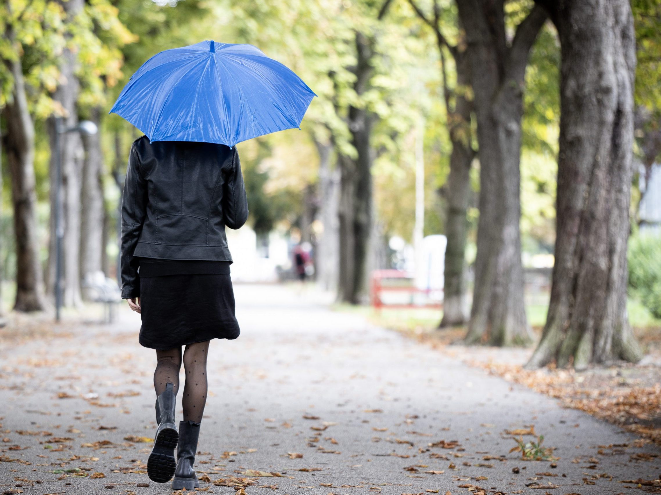 Das Wetter bleibt auch die nächsten Tage herbstlich. Das Wetter bleibt auch die nächsten Tage herbstlich.