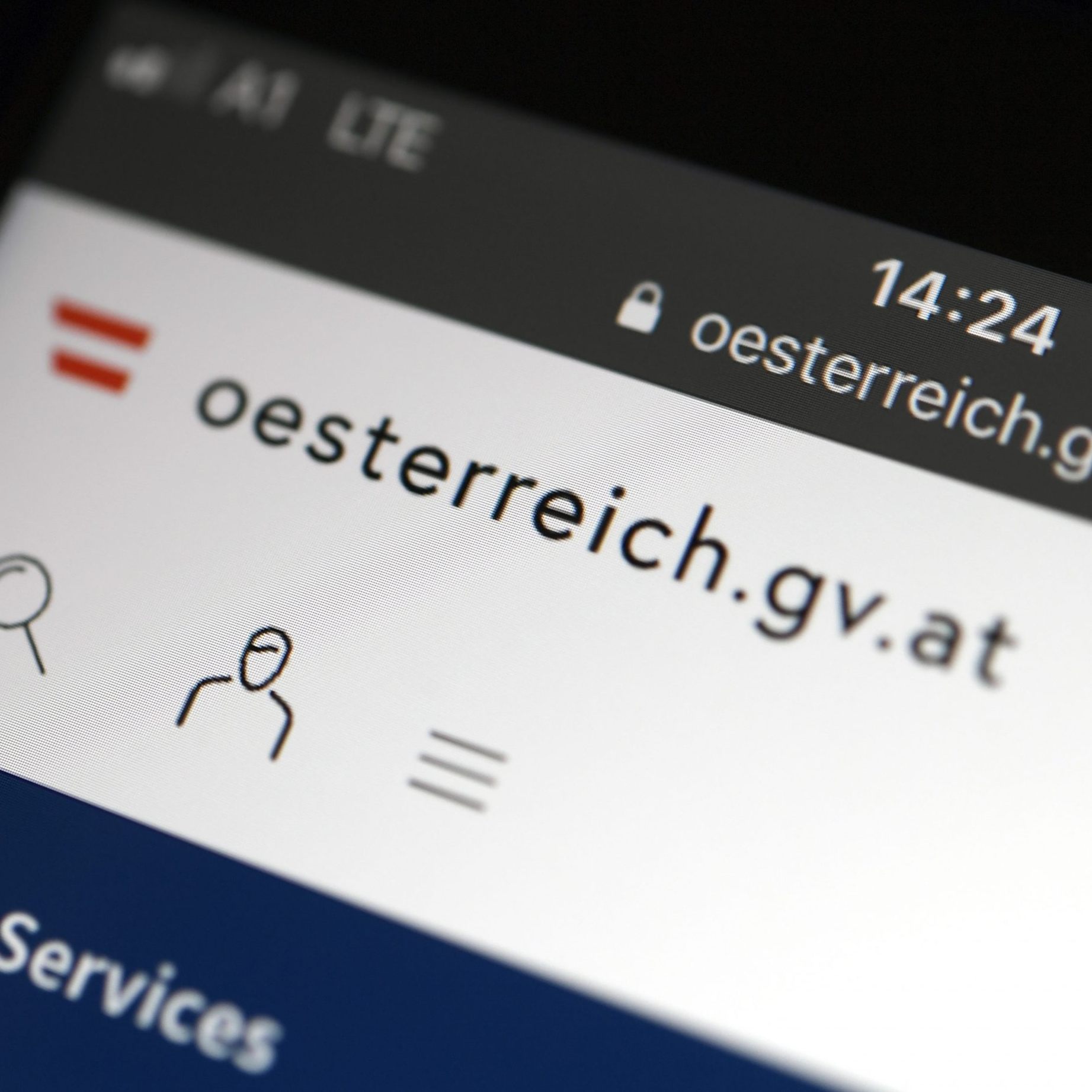 Viele Österreicher nutzen digitale Amtswege.