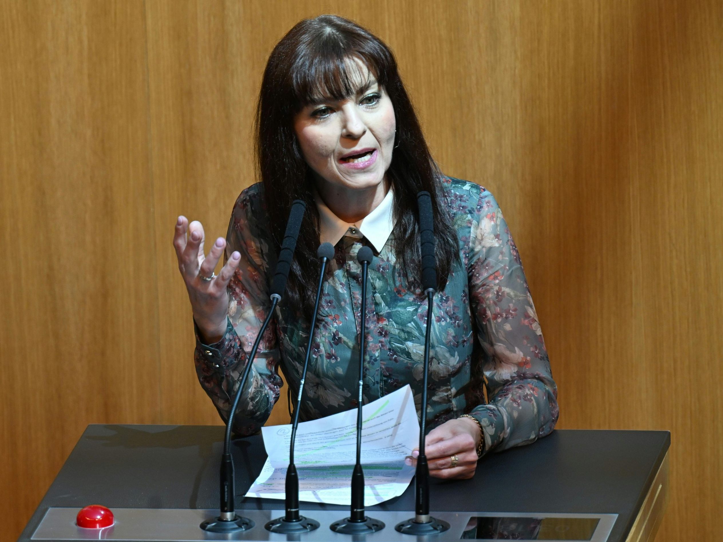 Experten beklagen das Fehlen außenpolitischer Überlegungen.