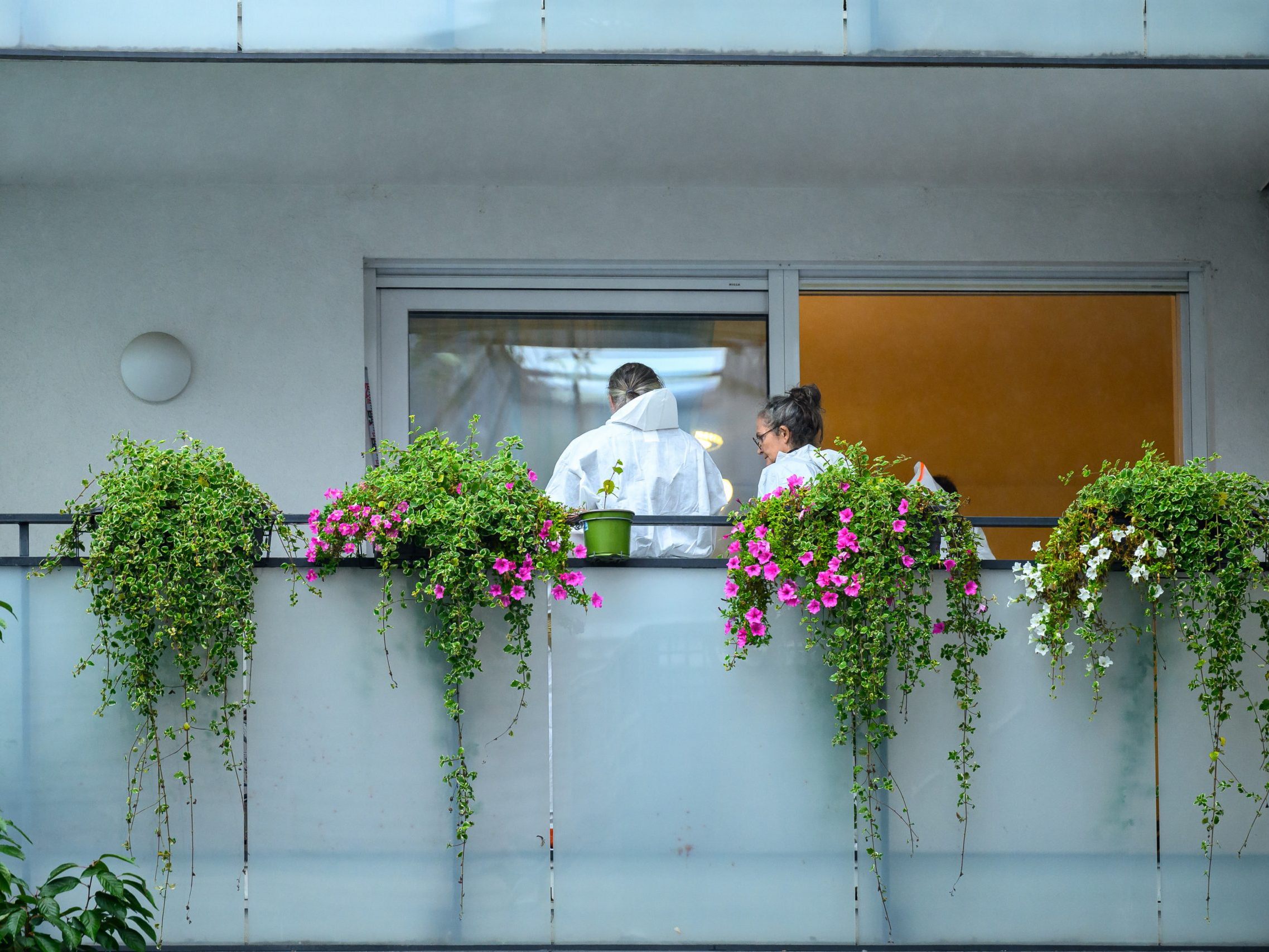 Der Mann ging mit einem Ast auf dem Balkon der Wohnung auf seine Ehefrau los und erschlug sie. Der Mann ging mit einem Ast auf dem Balkon der Wohnung auf seine Ehefrau los und erschlug sie.