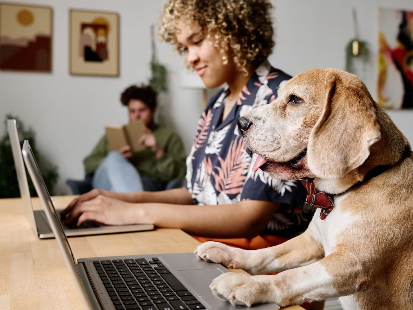 Kuscheln mit Hunden soll gegen Prüfungsstress helfen