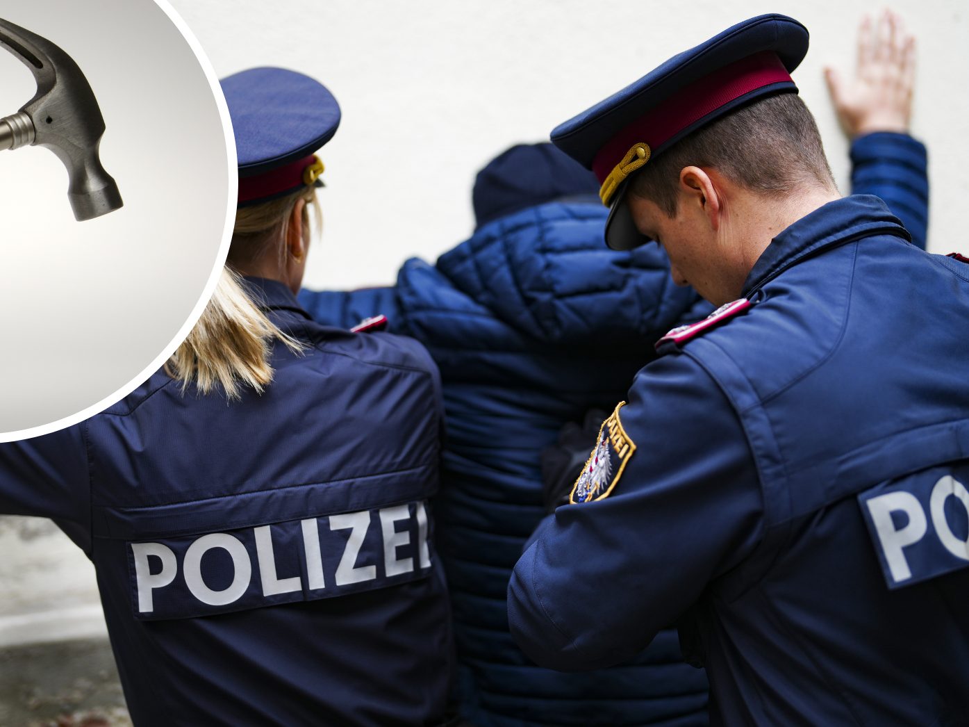 Der Mann wurde in eine Justizanstalt gebracht. Der Mann wurde in eine Justizanstalt gebracht.