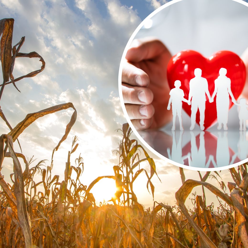 Durch den Klimawandel wird die Gesundheit zunehmend beeinträchtigt.