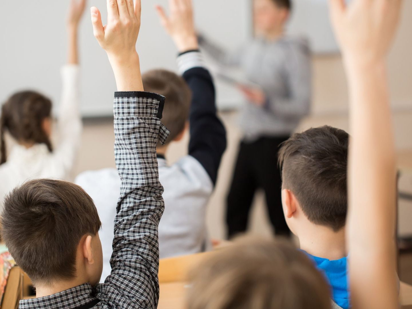 Bei der Studie wurden Schüler befragt, die großteils über Familienzusammenführung nach Wien gekommen sind. Bei der Studie wurden Schüler befragt, die großteils über Familienzusammenführung nach Wien gekommen sind.