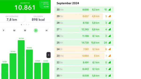 Stepz: Die Schrittzähler App mit ausführlichen Statistiken & Widget.
