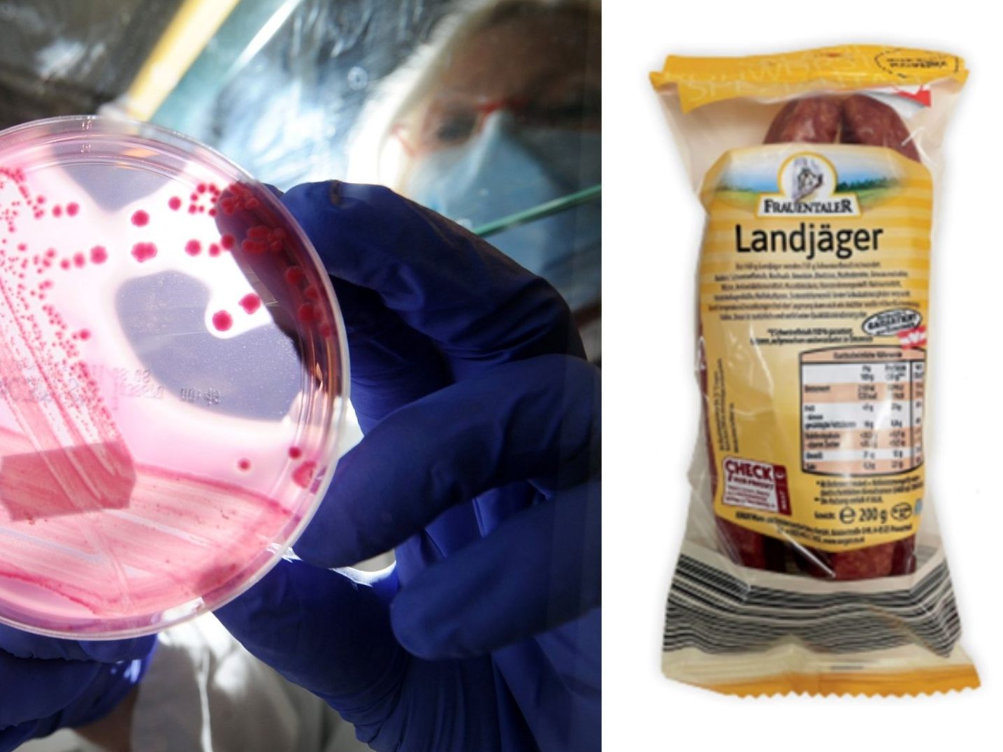 Der Erreger hatte 2011 in Österreich eine Lebensmittelkrise verursacht.