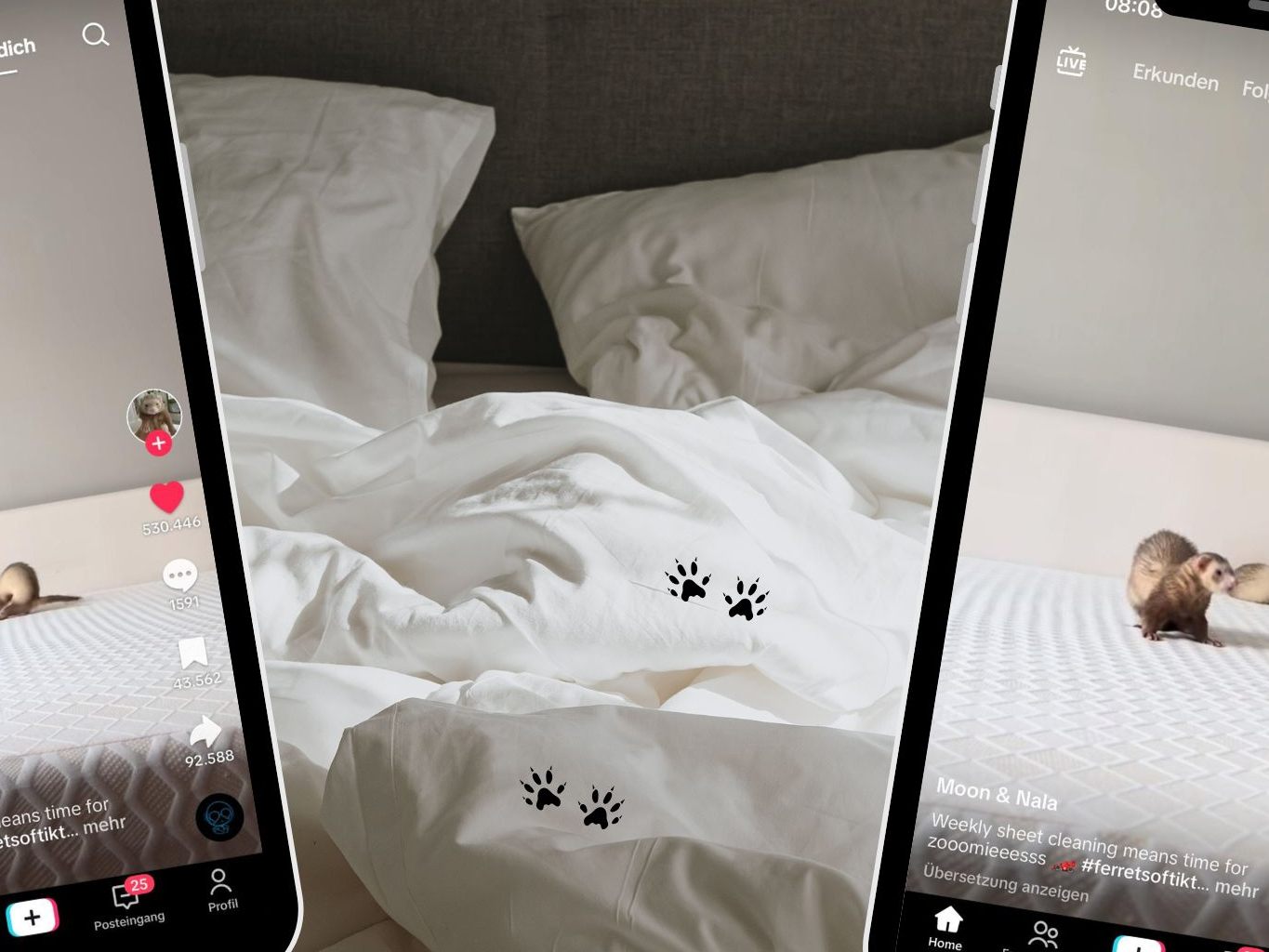 Im Video jagen zwei Frettchen das Leintuch, das ihre Besitzerin beim Bettenmachen in die Luft wirft. Im Video jagen zwei Frettchen das Leintuch, das ihre Besitzerin beim Bettenmachen in die Luft wirft.