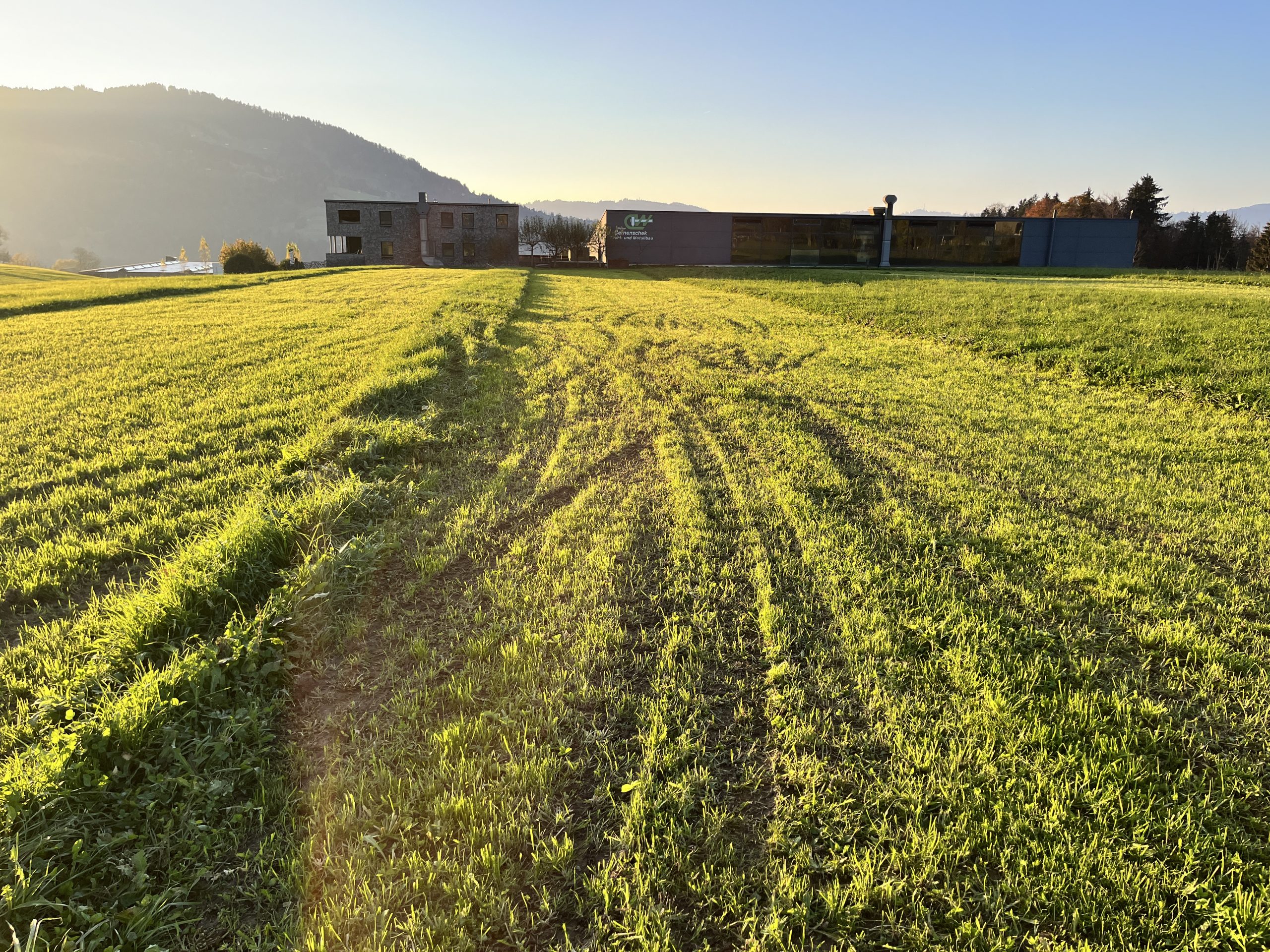 Durch die mutwillige Zerstörung muss der Landwirt aus Lingenau jetzt zusätzlich Arbeit leisten. Durch die mutwillige Zerstörung muss der Landwirt aus Lingenau jetzt zusätzlich Arbeit leisten.