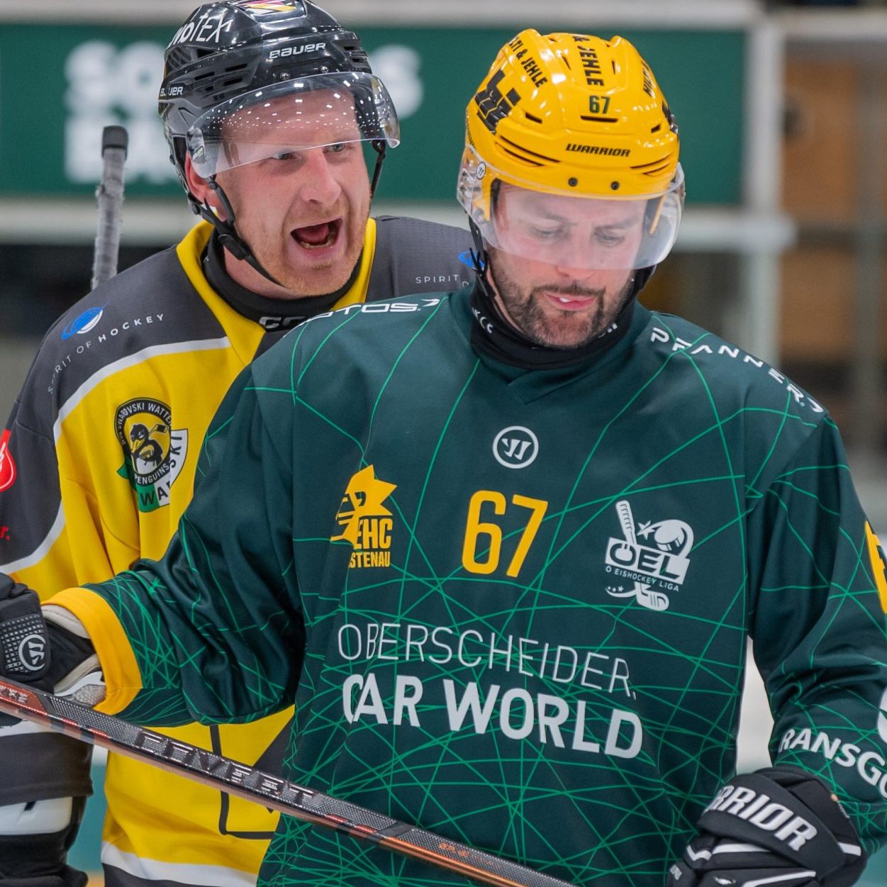 Thomas Auer möchte sich auch gegen Kudl in die Scorerliste eintragen.