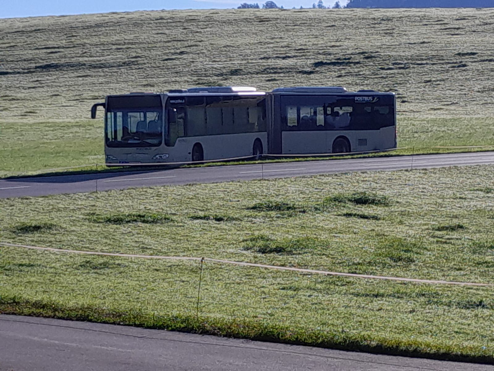 Laut ÖBB-Pressesprecher wollte der Lenker den Bus auf der Wiese wenden. Laut ÖBB-Pressesprecher wollte der Lenker den Bus auf der Wiese wenden.