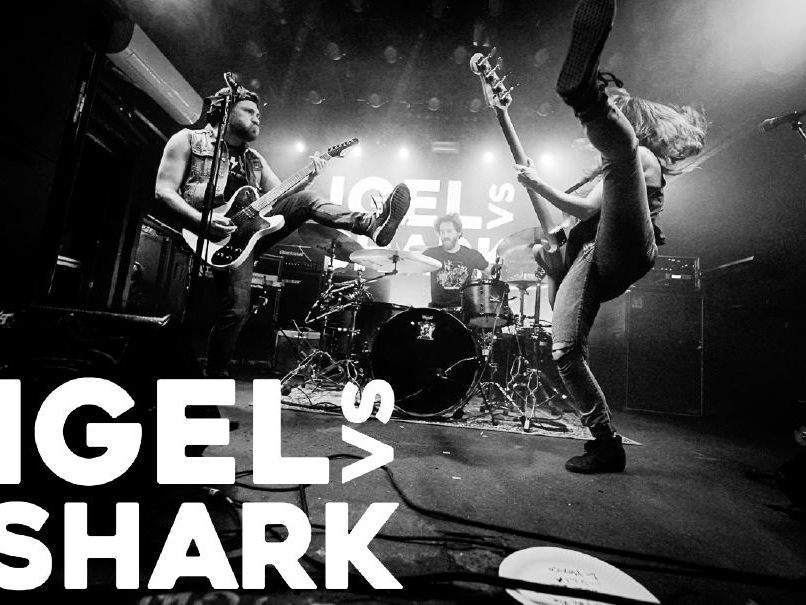 Igel vs. Shark