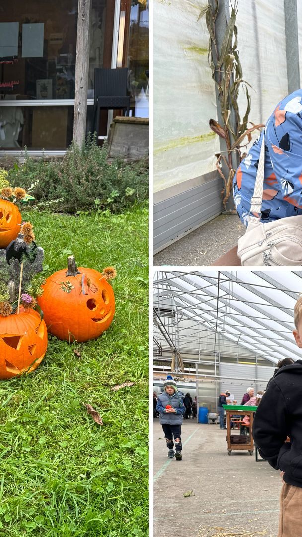 Sunnahof Kürbiswoche