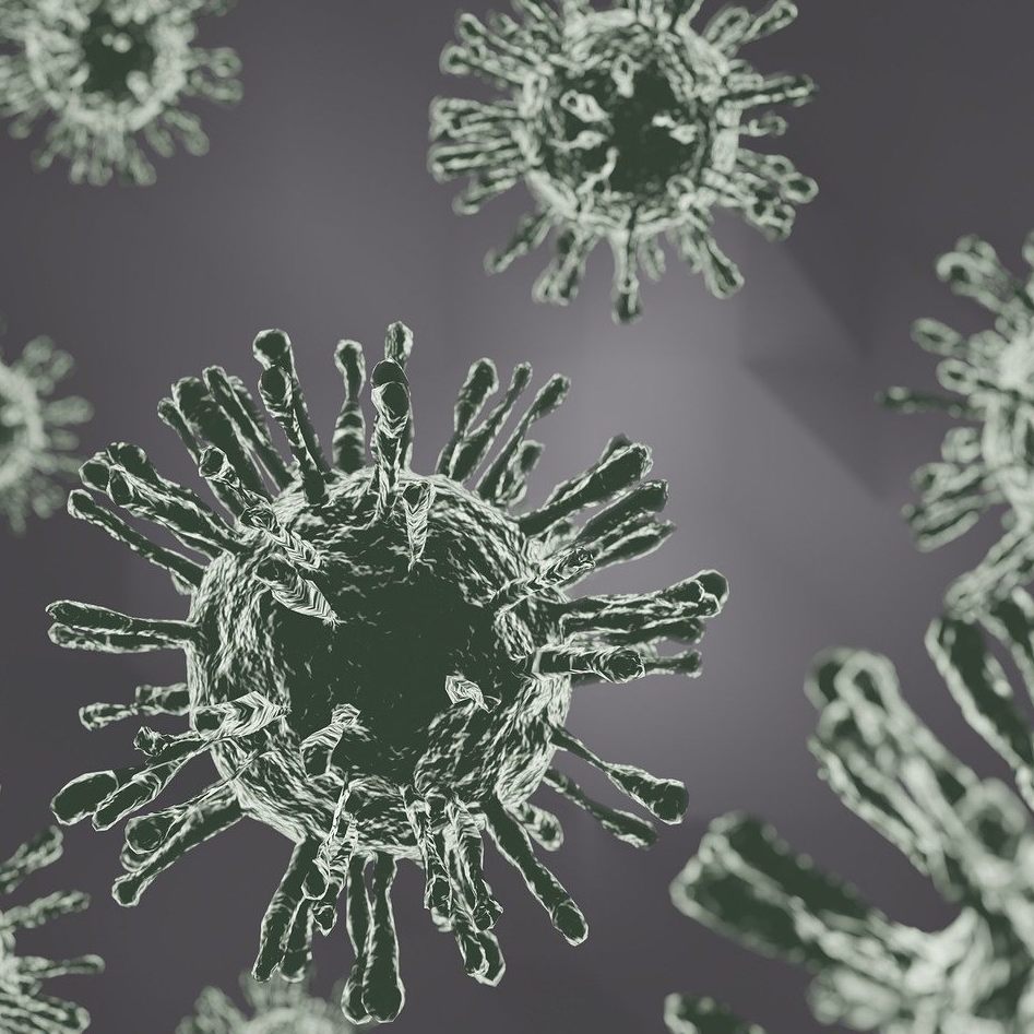 Ein "humanes Influenzavirus" in Kombination mit einem Vogelgrippevirus hat "pandemisches Potential".