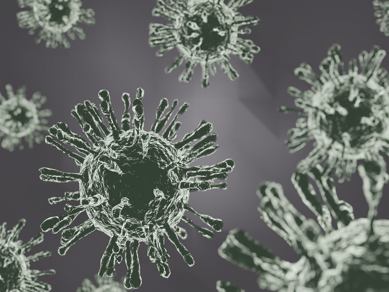 Ein "humanes Influenzavirus" in Kombination mit einem Vogelgrippevirus hat "pandemisches Potential".