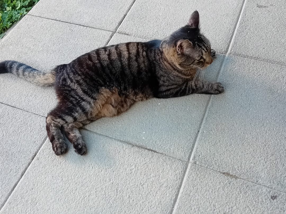 Lili