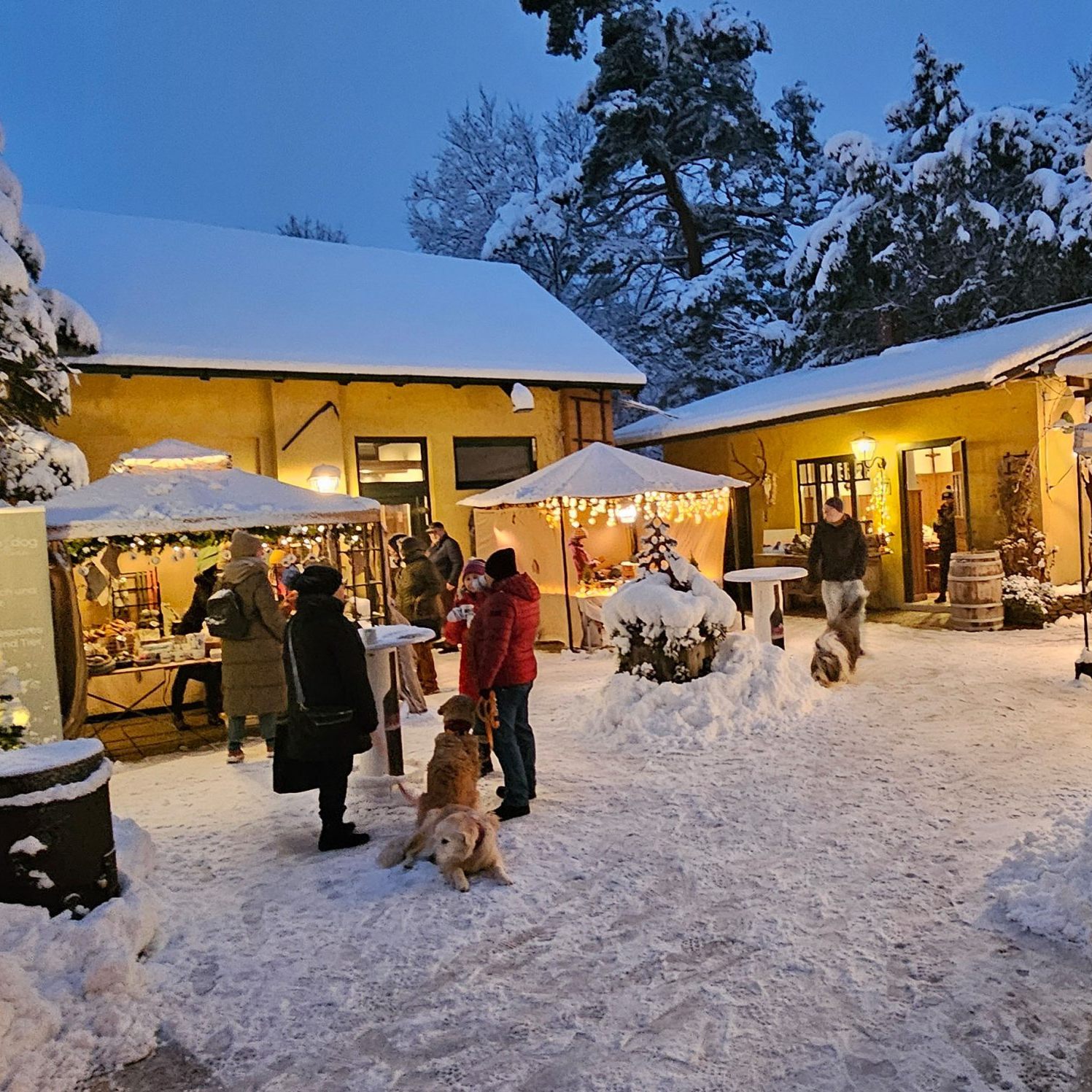 Auch 2024 findet wieder der Hundeweihnachtsmarkt in Mauer statt.