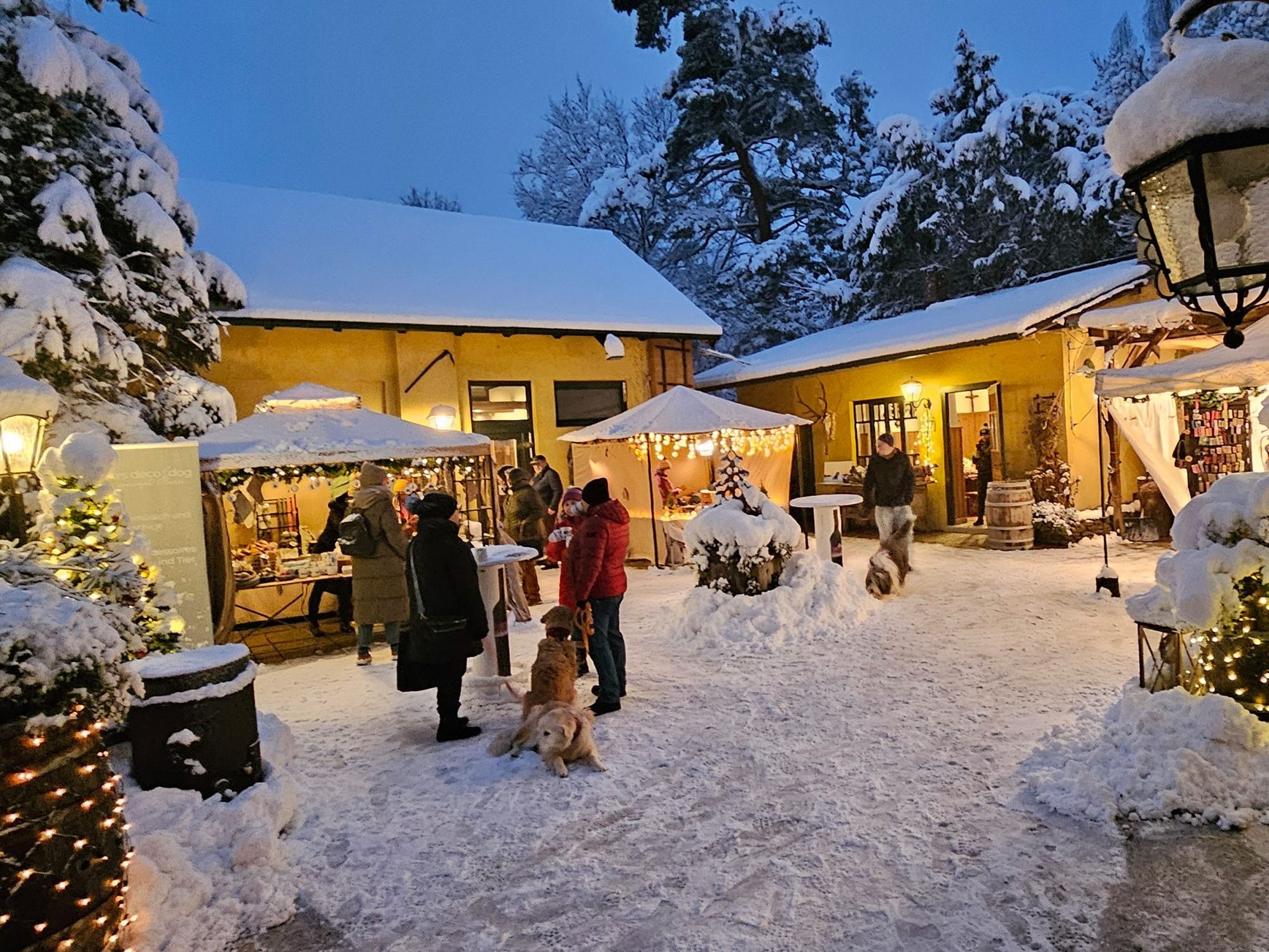 Auch 2024 findet wieder der Hundeweihnachtsmarkt in Mauer statt.