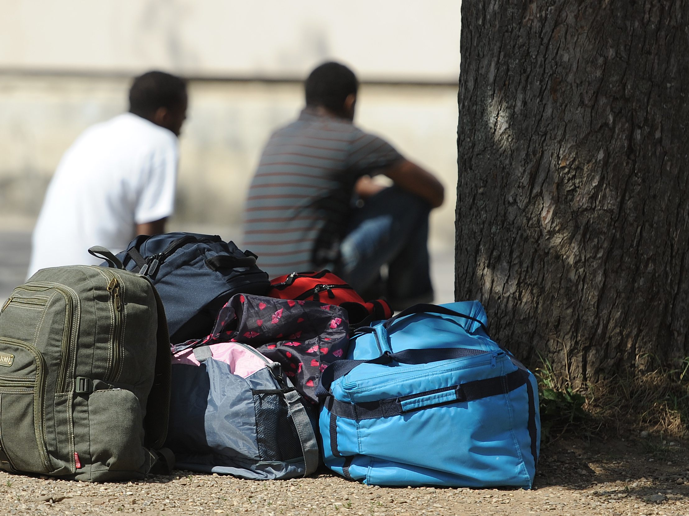 Migration zieht Sorgen nach sich. Migration zieht Sorgen nach sich.