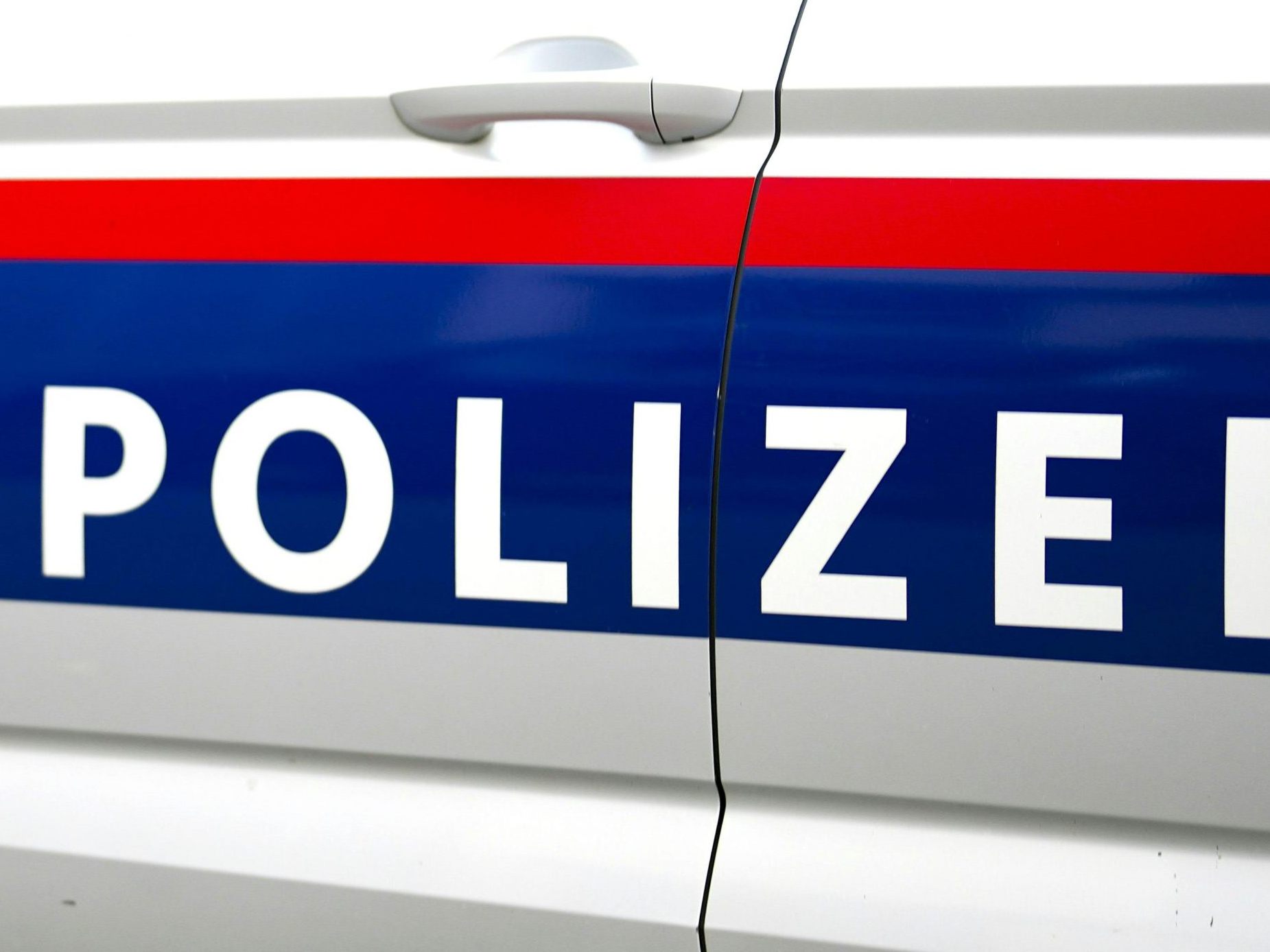 Die beiden wurden in eine Justizanstalt gebracht.
