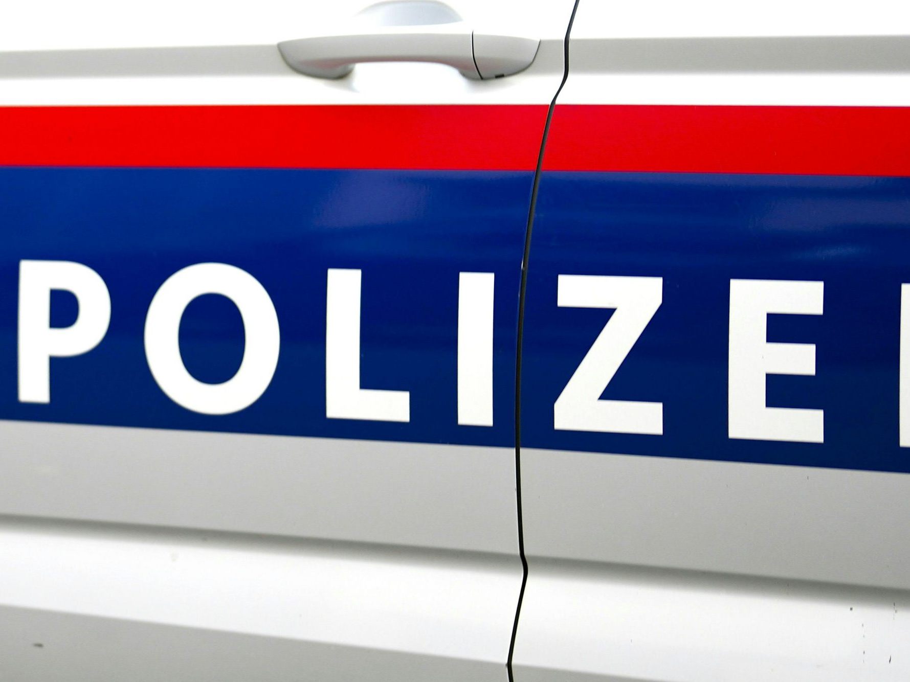 Die beiden Tatverdächtigen wurden auf freiem Fuß angezeigt. Die beiden Tatverdächtigen wurden auf freiem Fuß angezeigt.