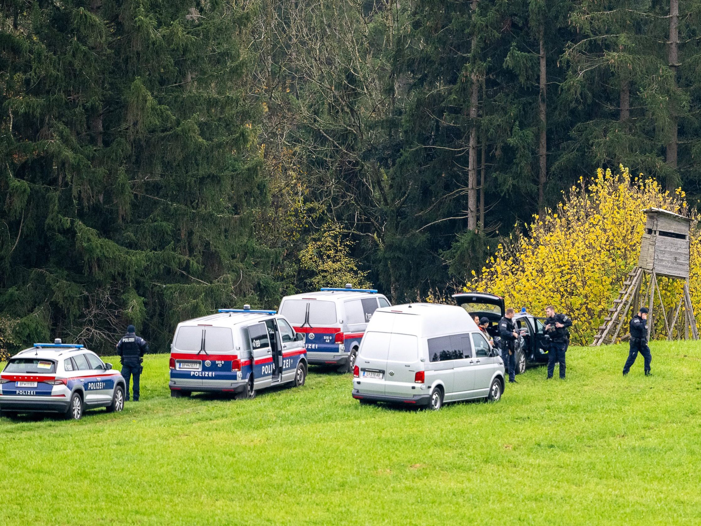 Der Verdächtige wurde am Samstag, dem 2. November 2024, leblos aufgefunden. Der Verdächtige wurde am Samstag, dem 2. November 2024, leblos aufgefunden.