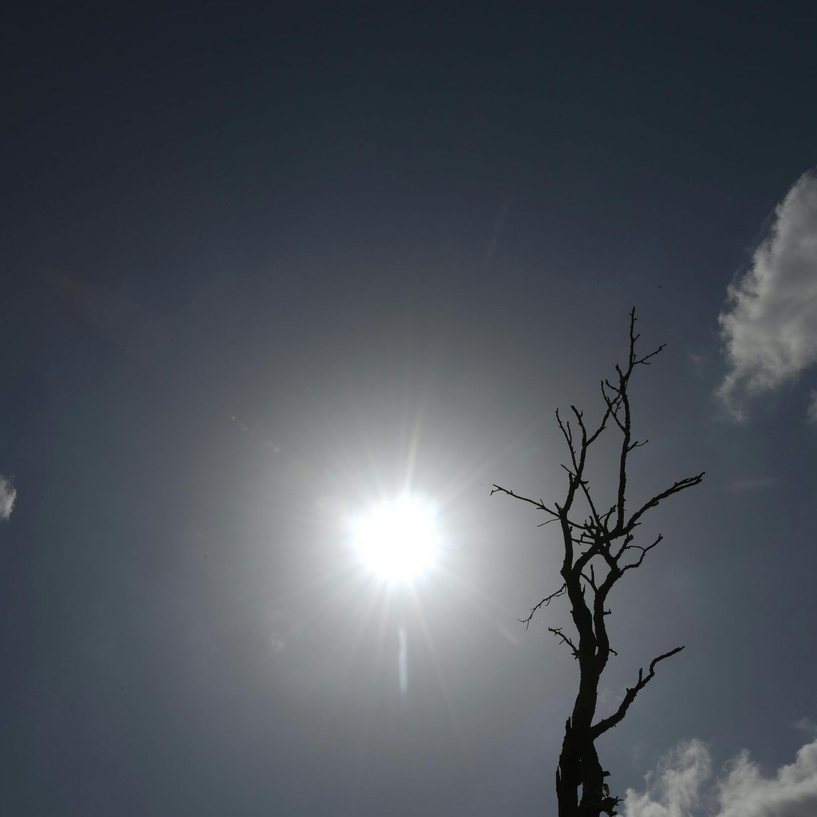 In einem "Appellbrief" fordern zahlreiche Unternehmen "verlässliche politische Rahmenbedingungen" beim Klimaschutz.