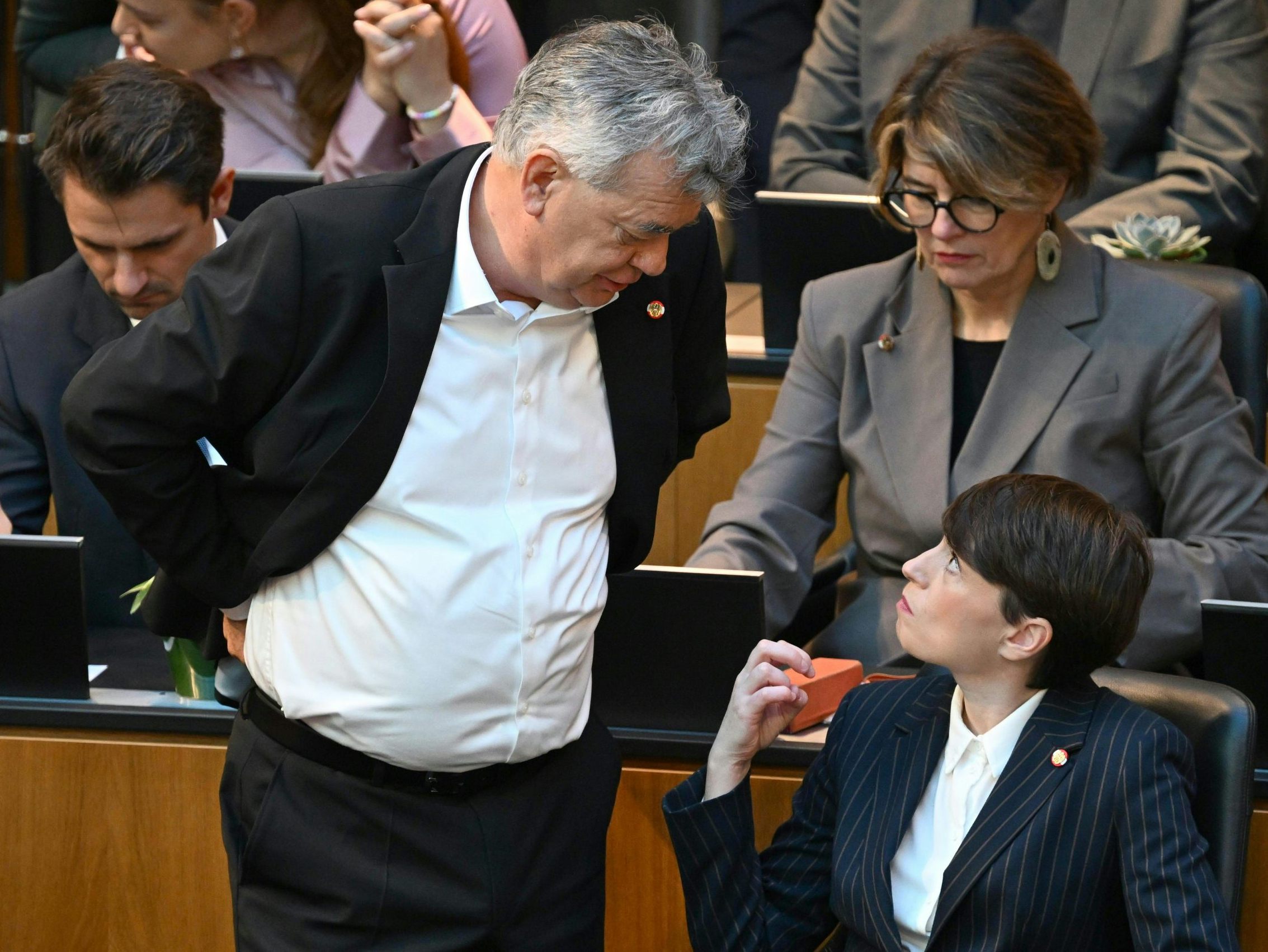 Maurer sagt für Kogler-Nachfolge ab.